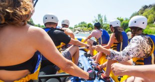 Team building