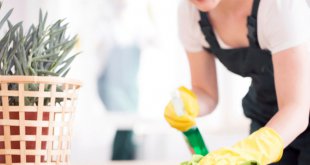 10-truques-de-limpeza-para-quem-ama-fazer-faxina