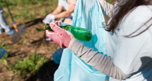 Como montar uma empresa de limpeza de terrenos