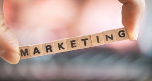 Qual a importância do departamento de marketing - oHub