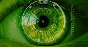 o que é segurança da informação