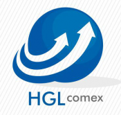HGL COMEX ASSESSORIA ESTRATÉGICA