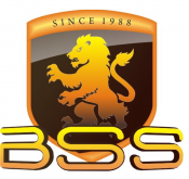BSS Vigilância e Segurança - Segurança Patrimonial - Eventos- Artistas.