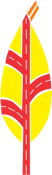 Orquidea