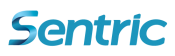 Sentric Soluções Inteligentes