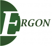 Ergon Consultoria