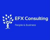 EFX Consulting