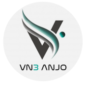 Vn3 Anjo