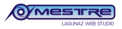 OMestre Lagunaz Web Studio