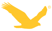 Agência de Marketing Digital Indaiatuba | Birdclick 