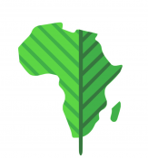Caruru Verde