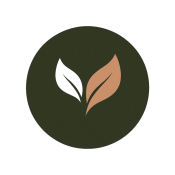 Ypack Consultoria