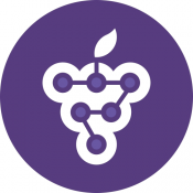 GRAPE TECNOLOGIA DA INFORMAÇÃO