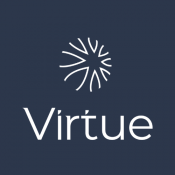 VIRTUE CONSULTORIA LTDA